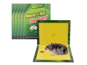 MYSZOŁAPKA LEP ŁAPKA PUŁAPKA NA MYSZY KLEJOWA